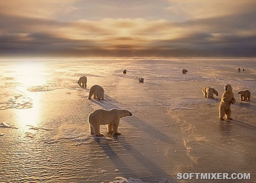 [615505156%255B6%255D.jpg]