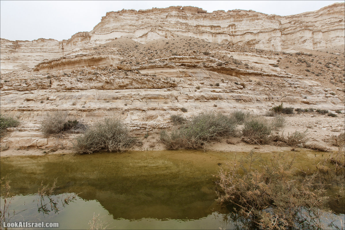 Ручей Акев и источник Эйн Акев в пустыне Негев. LookAtIsrael.com - Фото путешествия по Израилю