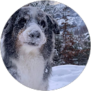 Image Google de gilles Beauvallet