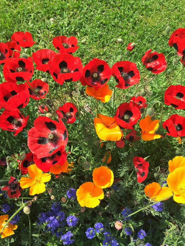 nikon-coolpix-aw-120-resistente-acqua-fashion-blogger