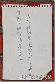 台南-321巷藝術聚落。傳說中的貓頭鷹王子，只有特別幸運的人才可以遇見。