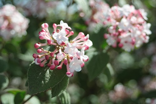 20110406 (2) (Large)