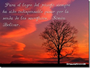 39173_thumb