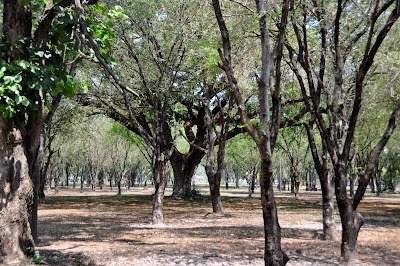 DSC_0723.JPG
