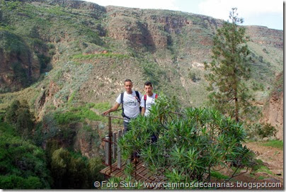 7186 Los Tiles-Firgas(Barranco Azuaje) 7186 Los Tiles-Firgas(Barranco Azuaje)