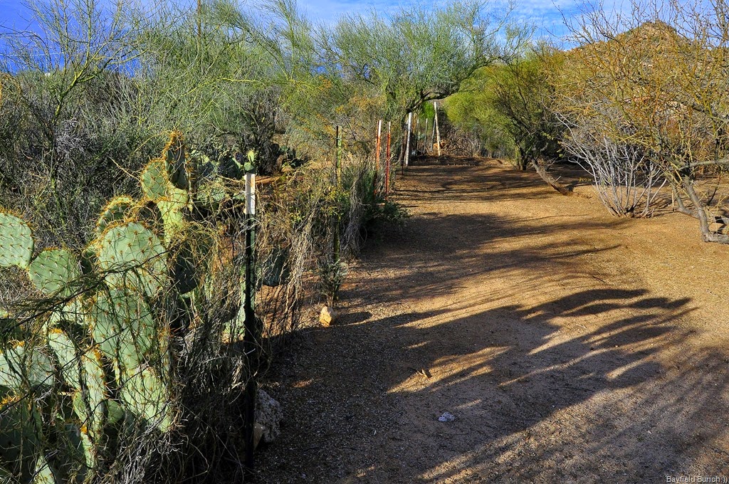 [DSC_0007%255B3%255D.jpg]