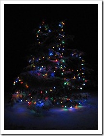 20120224_snow-lights-snowman_013