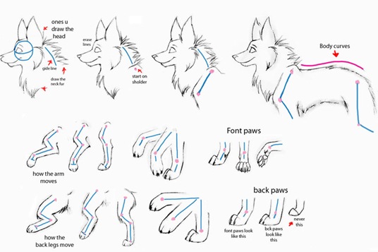 Desenhando lobos  Part 2