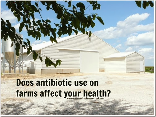 does antibiotic use on farms affect human health