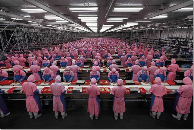 "Manufacturing #17", Deda Chicken Processing Plant, Dehui City, Jilin Province, 2005