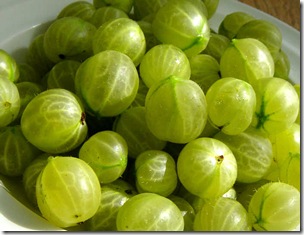 Gooseberries