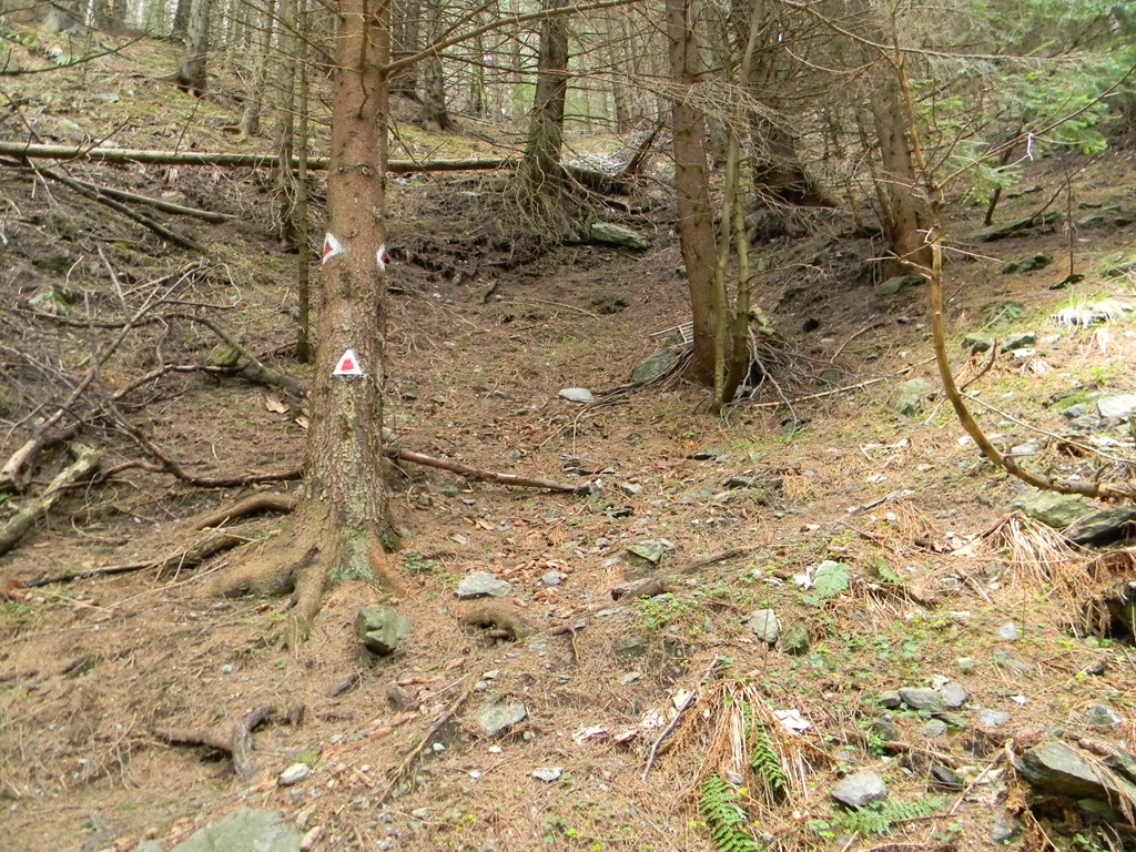 [DSCN52233.jpg]