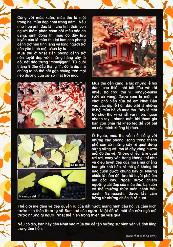OMAMORI Magazine chap 1
