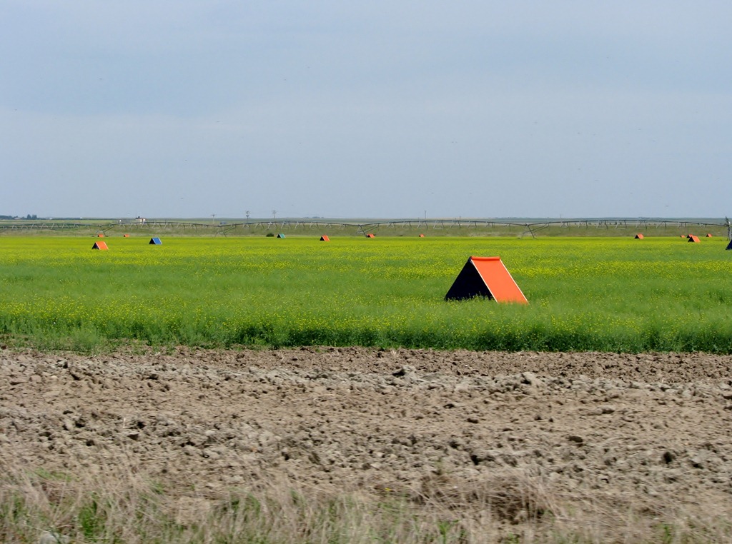 [1967%2520Alberta%2520Hwy%2520879%2520North%2520-%2520orange%2520tents%2520are%2520shelters%2520for%2520the%2520bees%2520which%2520pollinate%2520the%2520canola%255B3%255D.jpg]