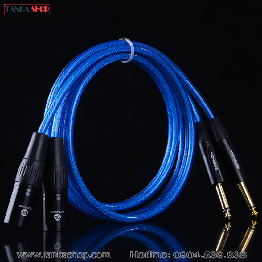 Cáp chuyển đổi 6.5 sang xlr