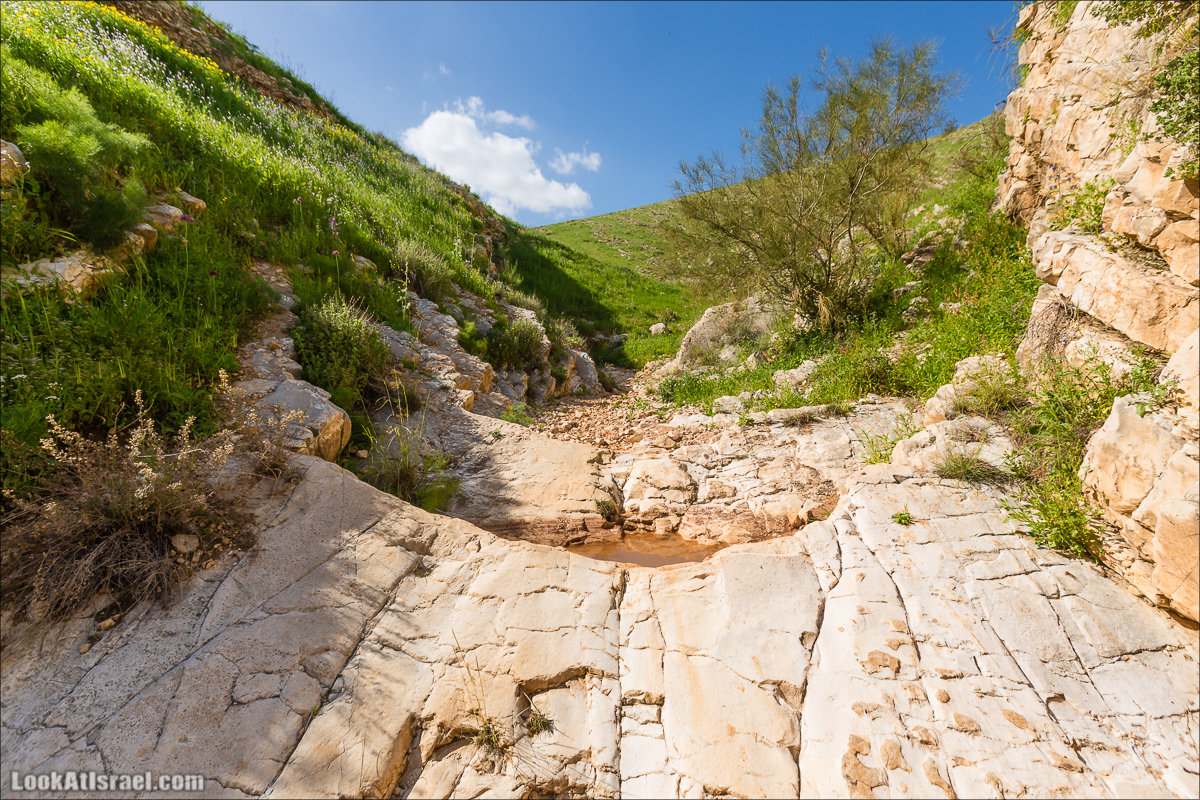LookAtIsrael.com - Ручей (нахаль) Талкид | Nahal Talkid | נחל תלקיד