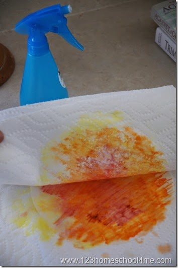 spray bottle spray bottle