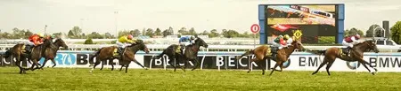 guineas_finish 3