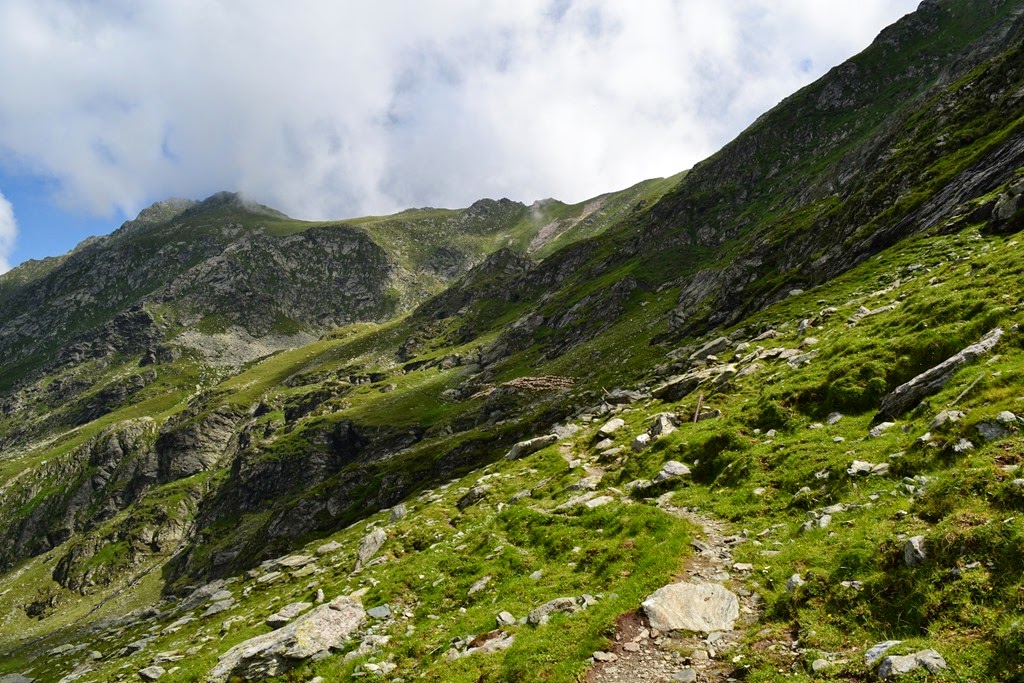 [DSC_16673.jpg]