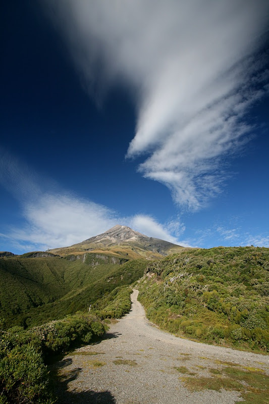 Taranaki Trail Begins