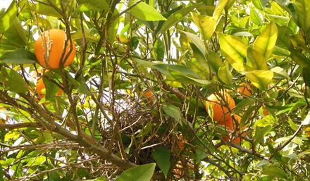 DSCN0524 DSCN0524