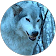 Wolf Not Lady