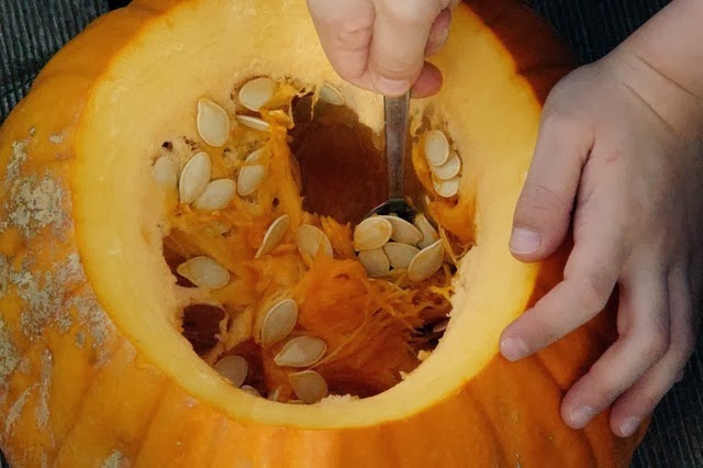 [pumpkin-201103_640%255B2%255D.jpg]