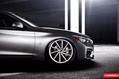 Vossen-7
