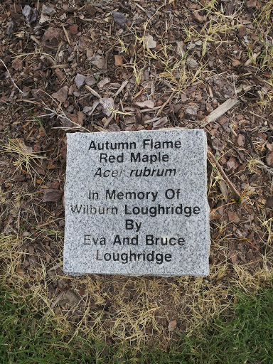Wilburn Loughridge Memorial