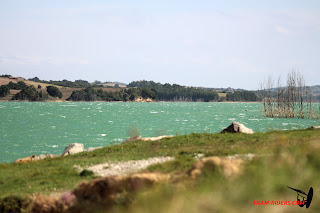 20140917-Ganguise-043.JPG