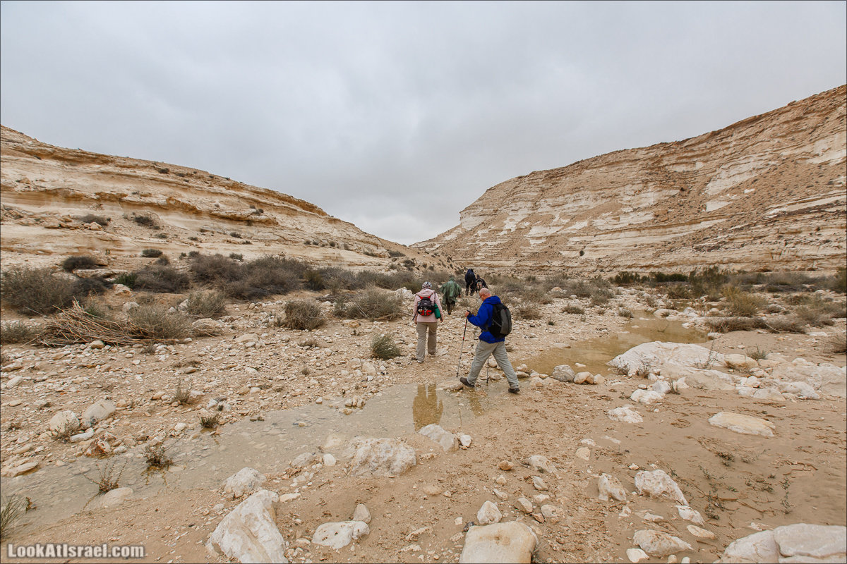 Ручей Акев и источник Эйн Акев в пустыне Негев. LookAtIsrael.com - Фото путешествия по Израилю