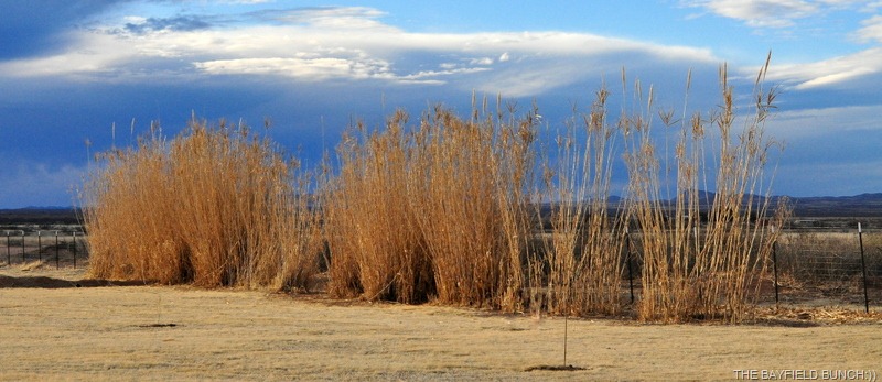 [DSC_0006%255B9%255D.jpg]