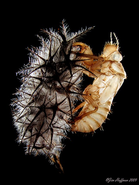 [gh11%255B2%255D.jpg]