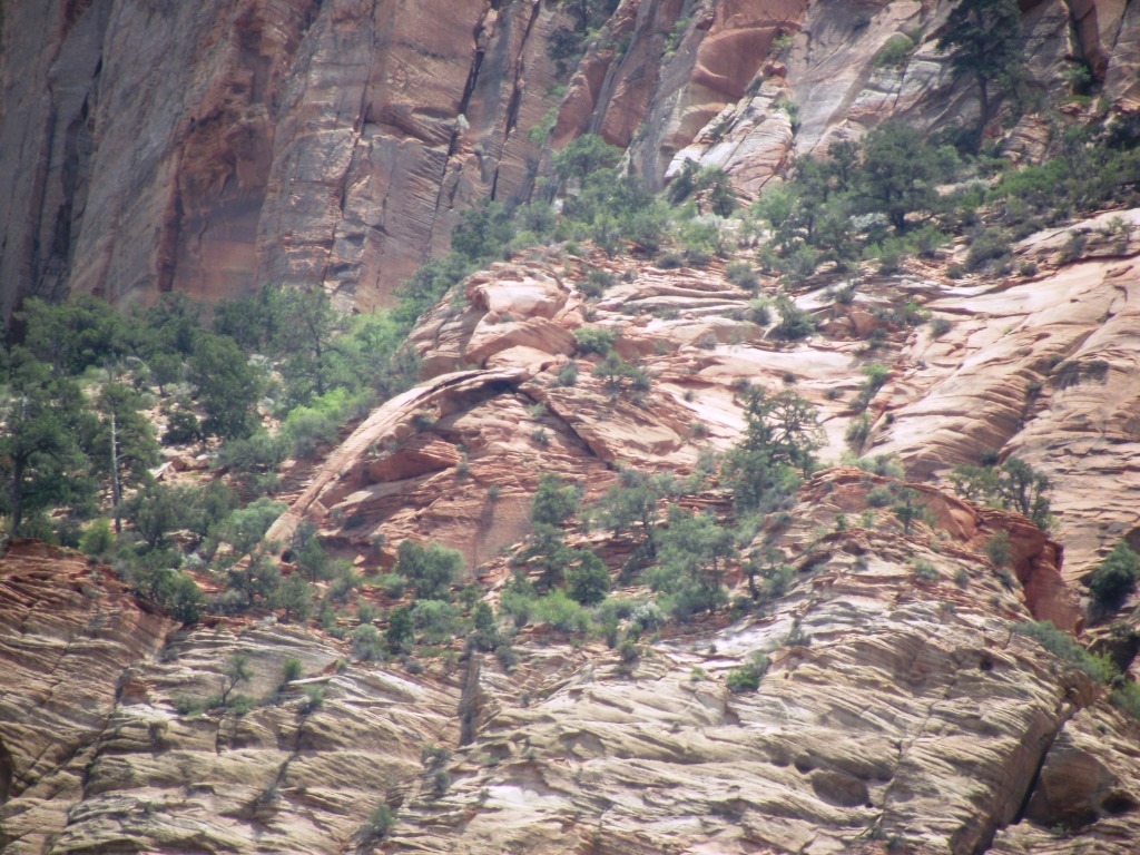 [DSCF9646%2520-%2520Kopie%255B5%255D.jpg]