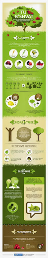 Tu B’Shevat–New Year For Trees