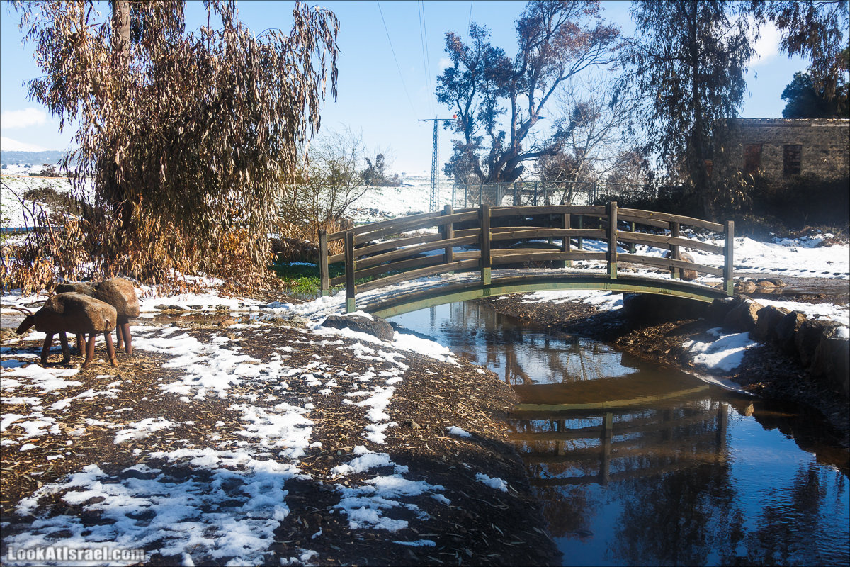 LookAtIsrael.com | Снег в Израиле, Голанские высоты и Галилея | Snow in Israel, Golan Heights and Galilee | שלג בישראל, רמת הגולן וגליל