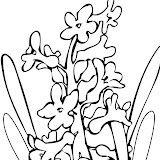 hyacinth_ink.jpg