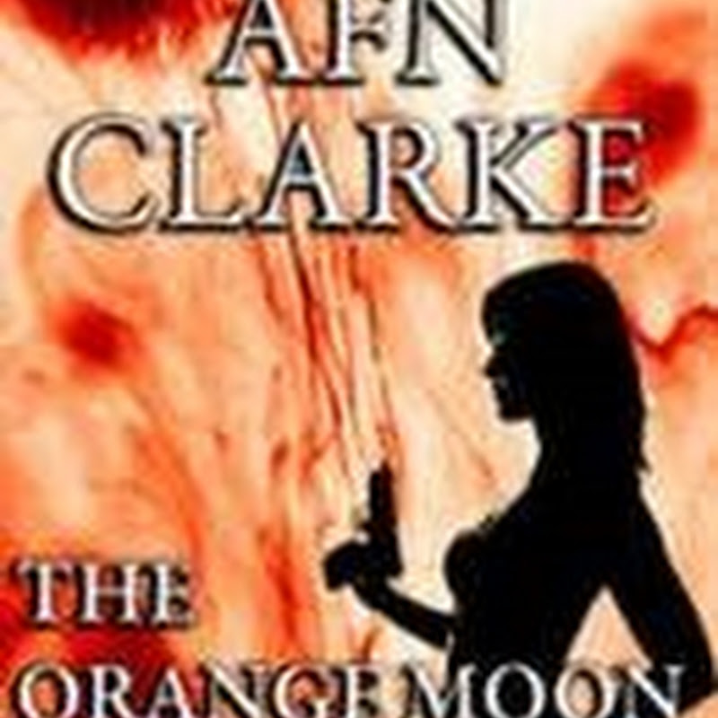 Book of the Day - The Orange Moon Affair by AFN Clarke