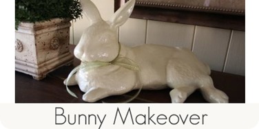 Bunny makeover
