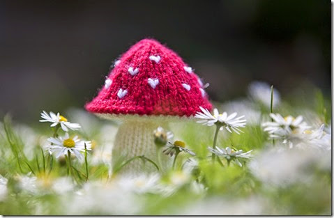 Knitted Toadstool5