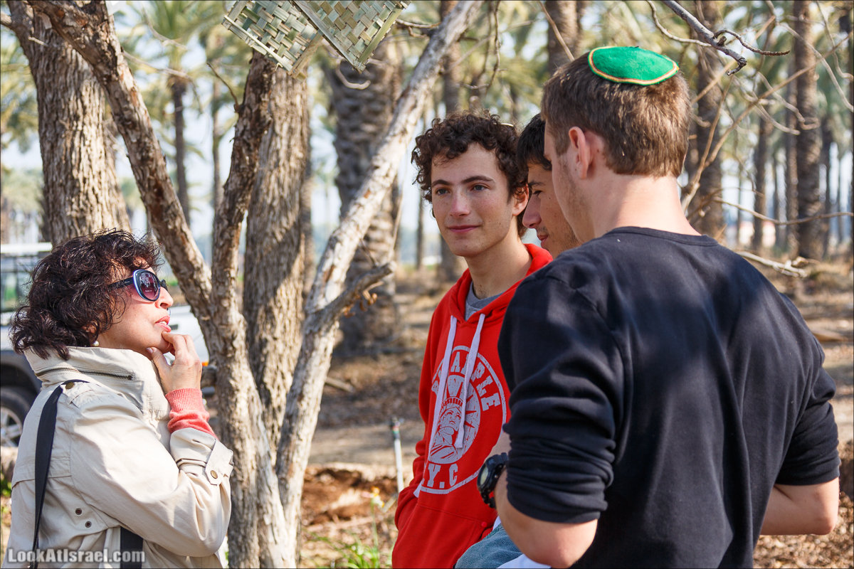 Сельскохозяйственная школа Хава бе-Эден | Hava be-Eden farm | LookAtIsrael.com - Фото путешествия по Израилю | חווה בעדן