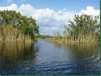 9 mile pond paddle 113