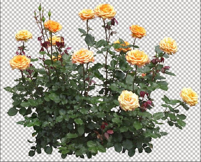 Flower photoshop files