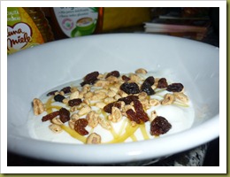 Yogurt con cereali, uvetta e miele di castagno (1)