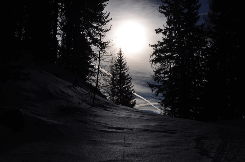 DSC_8126.JPG DSC 8126