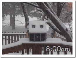 8oclock Snow Storm 02042014 (5)