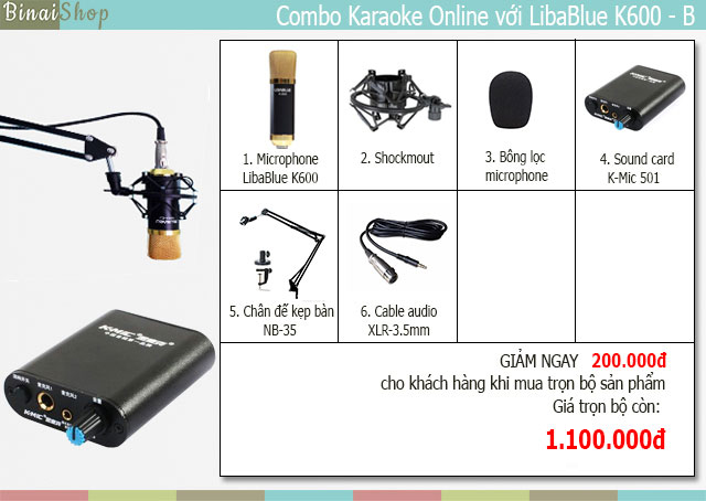 Combo micro hát karaoke online LibaBlue K600