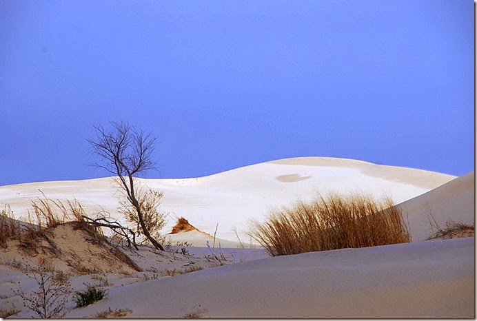 Monahans Sandhills