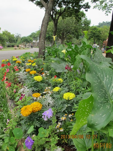 2013 綠色博覽會 - 058
