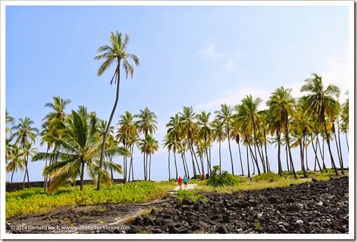 140730_Puuhonua_o_Honaunau_0053